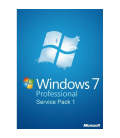 Preinstalare Microsoft Windows 7 Professional